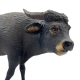Bufalo in terracotta con occhi in vetro