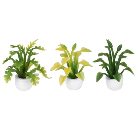 Set da 4 vasetti con piantine per pastori da 7 a 15 cm