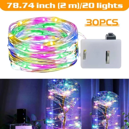 Stringa da 20 luci fibra ottica impermeabile | Arte in Movimento DeMaria
