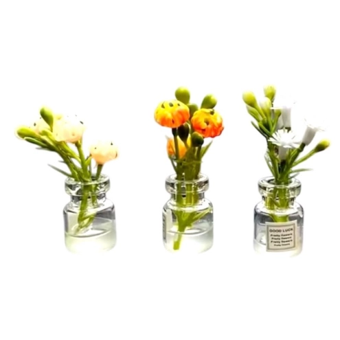 Set da 3 vasi con pianta da casa per pastori da 7 a 15 cm
