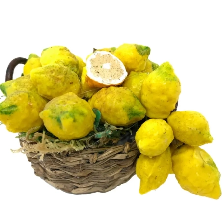 Cesto con limoni di sorrento in cera