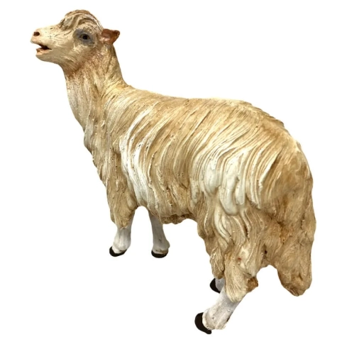 Pecora mentre guarda in terracotta con occhi di vetro 2