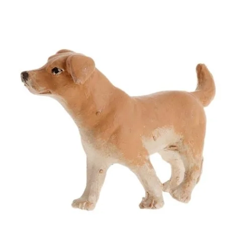 cane per pastori da 12 e 15 cm 2