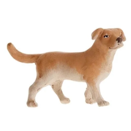 cane per pastori da 12 e 15 cm
