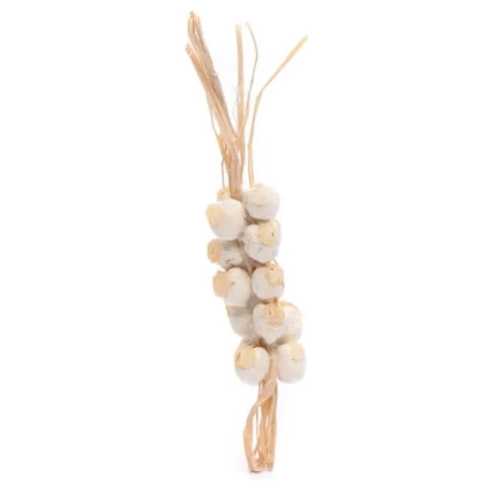 Ceppo aglio per pastori da 7 a 10 cm