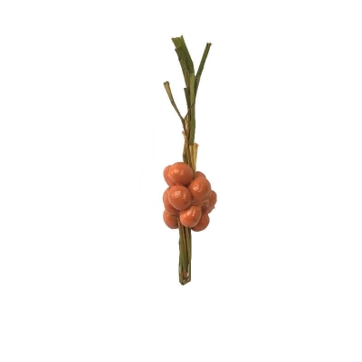 Ceppo di arance per pastori da 7 a 10 cm