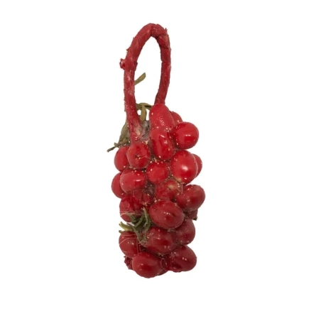 Ceppo pomodori per pastori da 15 a 25 cm