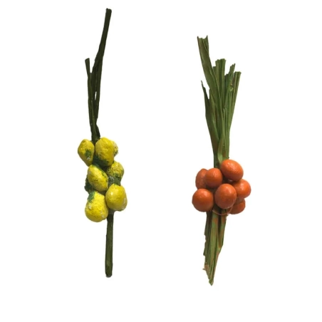 Cepp di aranche e limoni per pastori da 7 e 10 cm