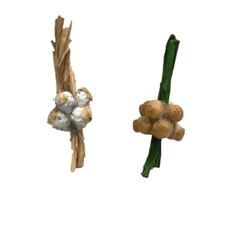 Grappoli di aglio  e cipolle per pastori da 7 a 10 cm
