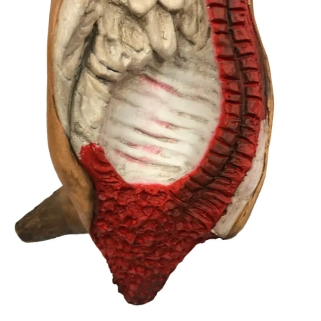 Carne in terracotta per pastori da 35 a 45 cm